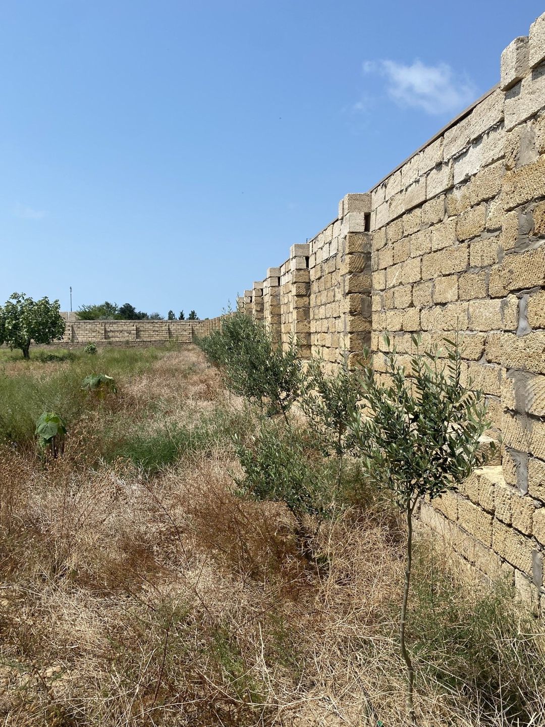 Satılır torpaq 12 sot — Torpaq, Bakı (10)