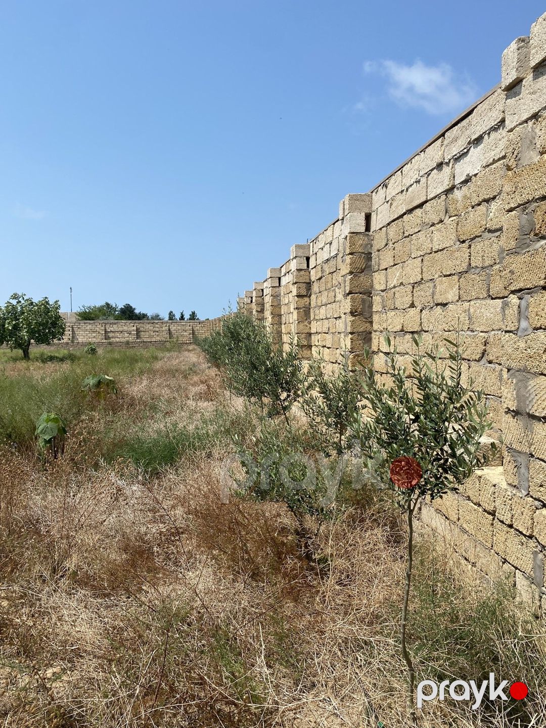 Satılır torpaq 12 sot — Torpaq, Bakı (12)