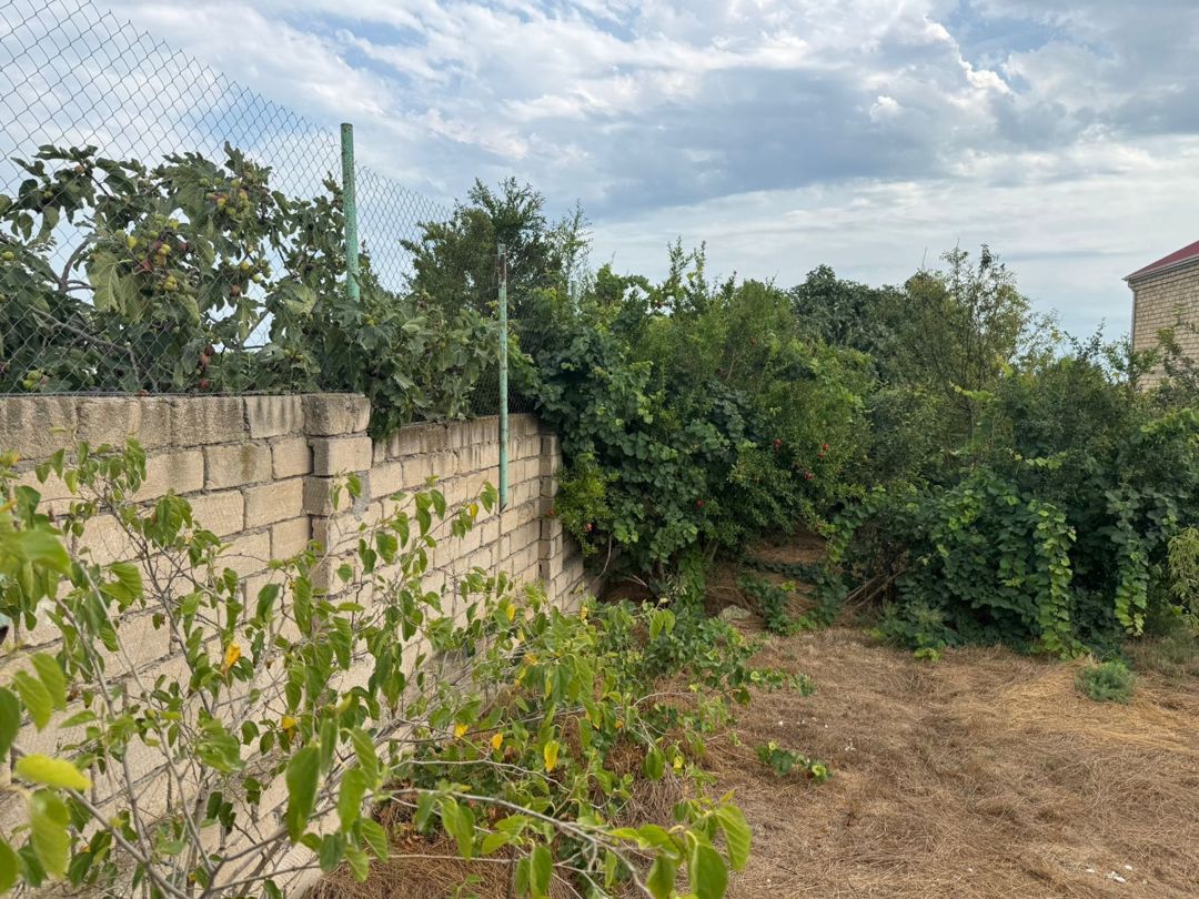 Satılır torpaq 6 sot — Torpaq, Bakı (3)