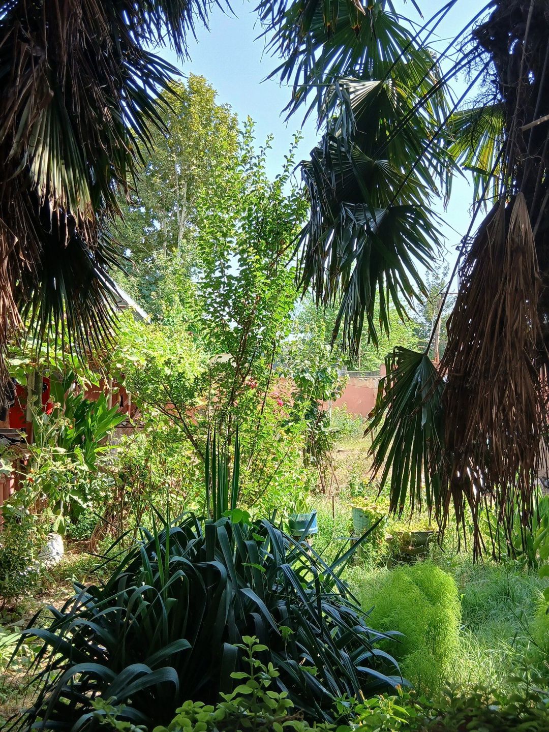 Satılır 8 otaqlı həyət evi/bağ evi 210 m² — Ev, villa, İmişli (4)