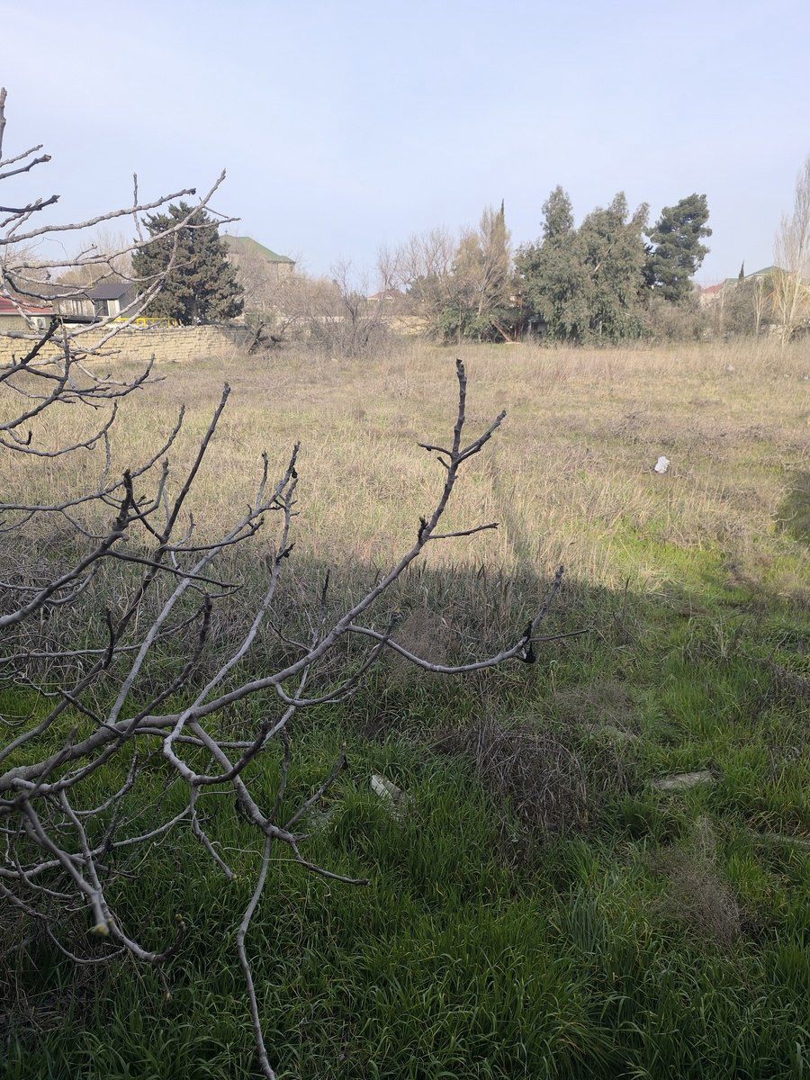 Satılır torpaq 41 sot — Torpaq, Bakı (6)