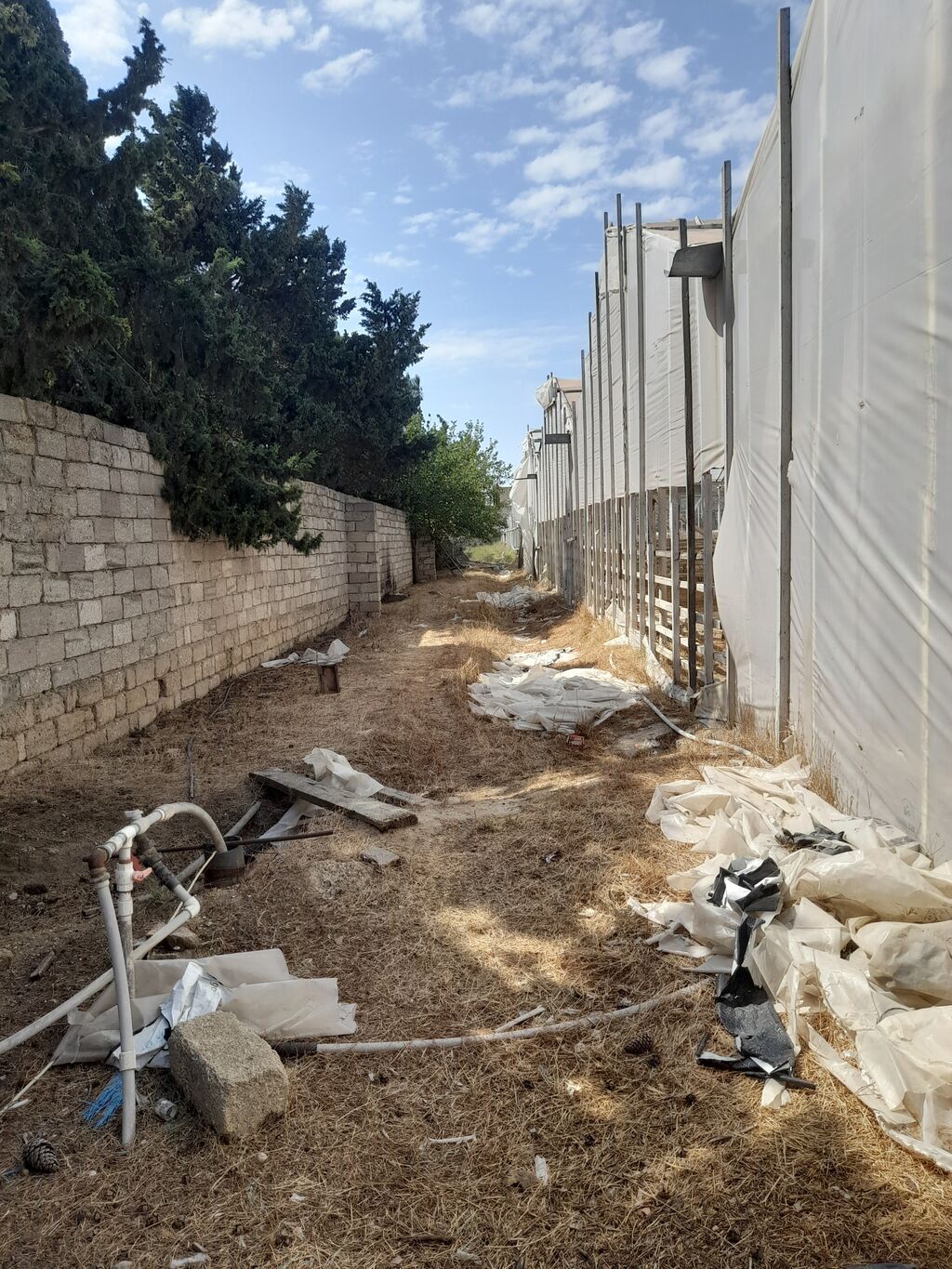 135 sot, Biznes üçün, Kupça (Çıxarış) — Torpaq, Digah (10)