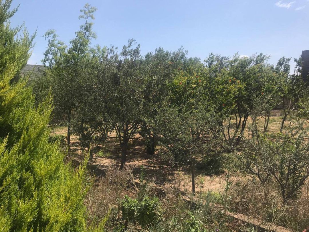 Satılır 6 otaqlı həyət evi/bağ evi 250 m² — Ev, villa, Bakı (4)