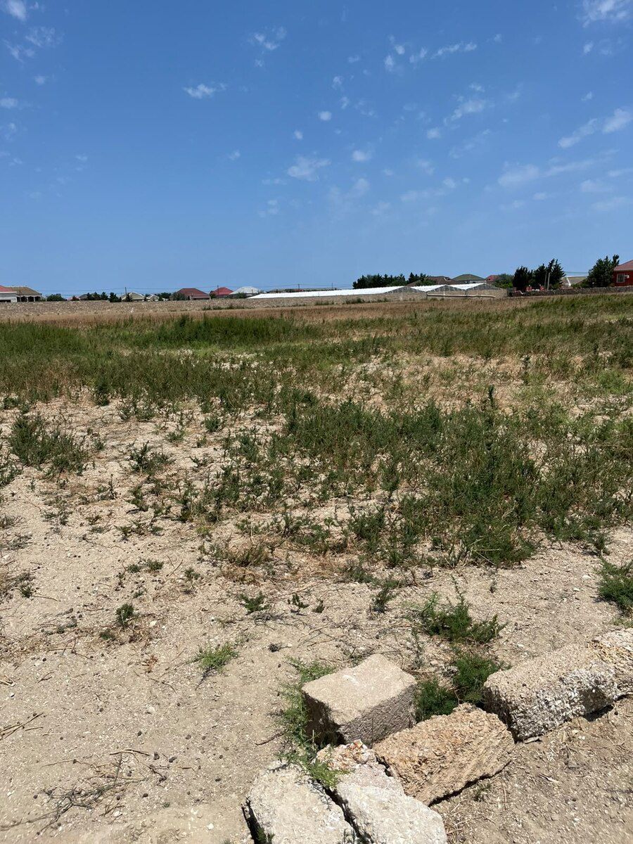 6 sot torpaq sahəsi, Türkan qəs — Torpaq, Bakı (4)