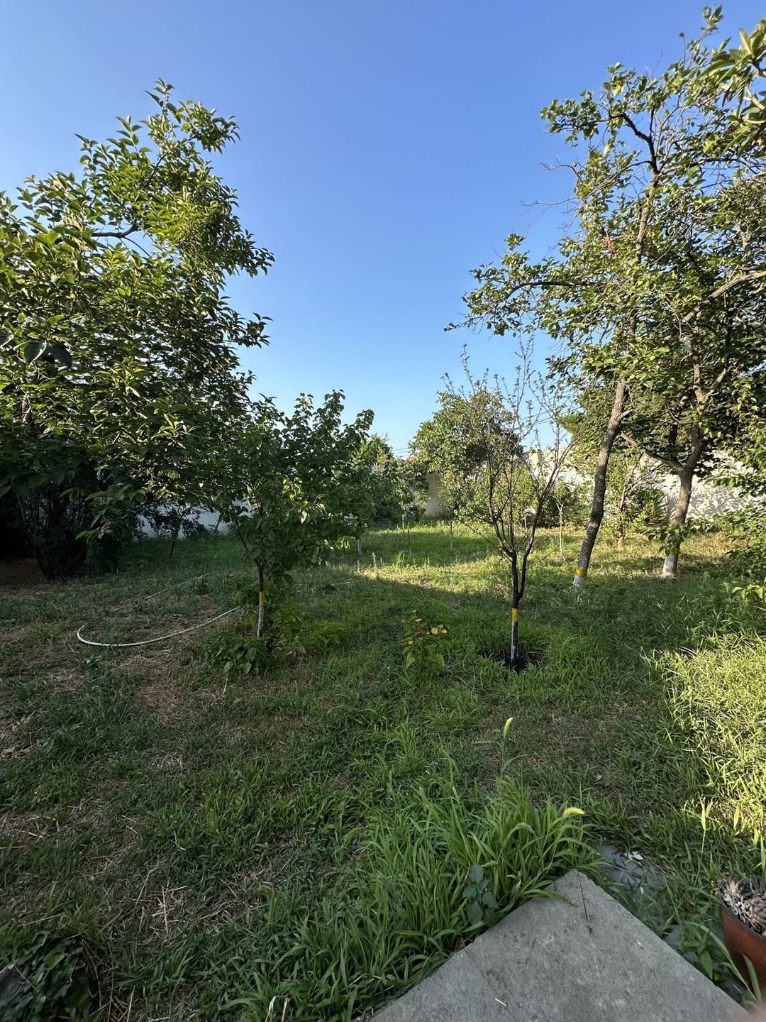 Satılır 2 otaqlı həyət evi/bağ evi 37 m² — Ev, villa, Bakı (5)