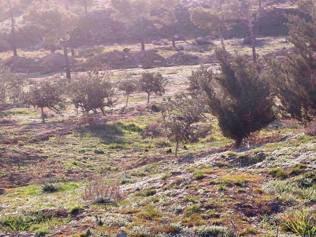 Satılır torpaq 12 sot — Torpaq, Bakı (6)