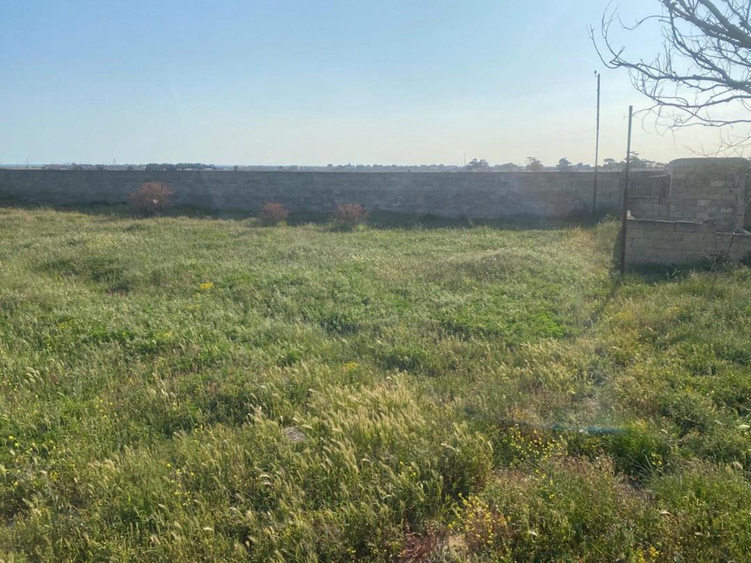 Satılır torpaq 10 sot — Torpaq, Bakı (3)
