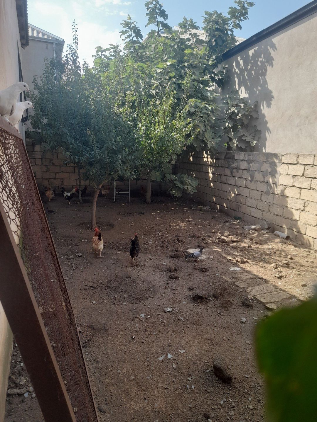 Satılır 4 otaqlı həyət evi/bağ evi 95 m² — Ev, villa, Bakı (3)