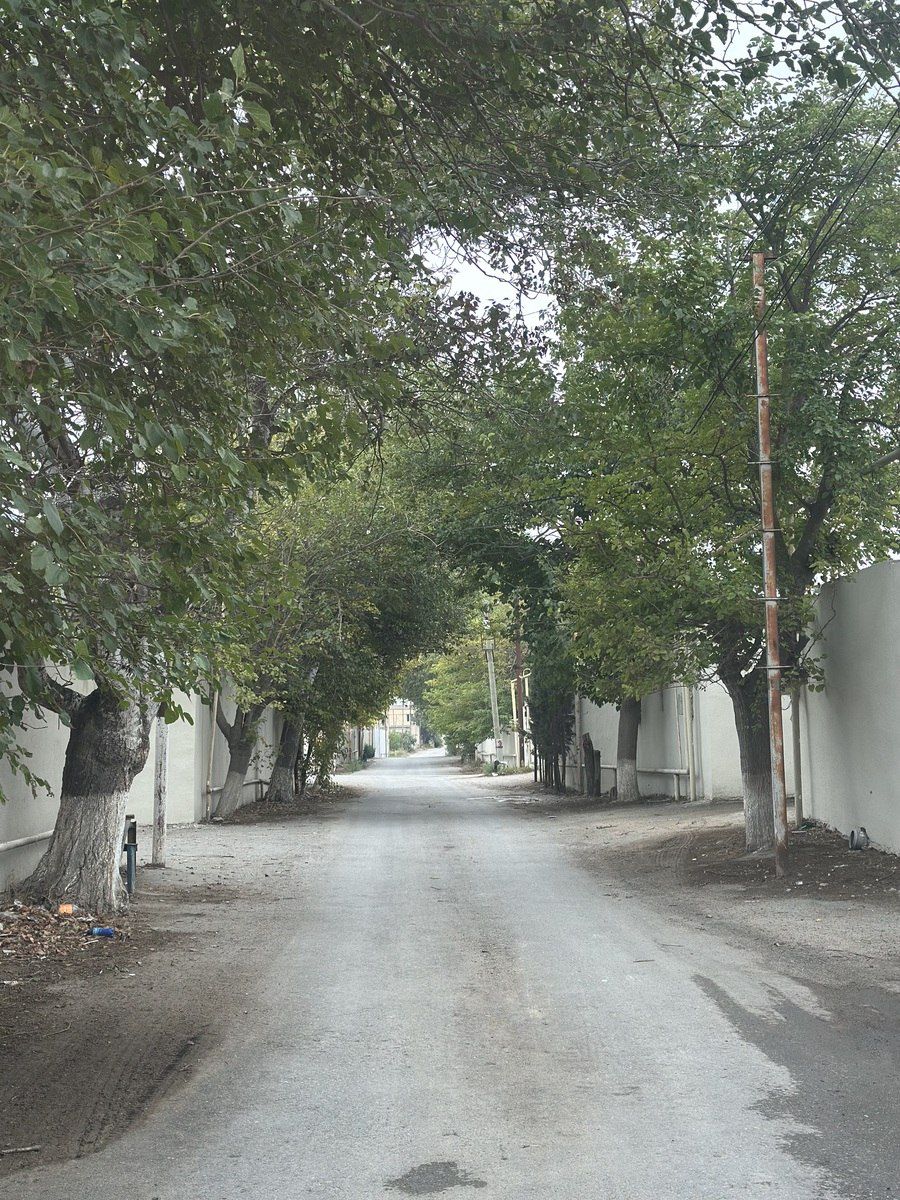 Satılır torpaq 12 sot — Torpaq, Bakı (4)