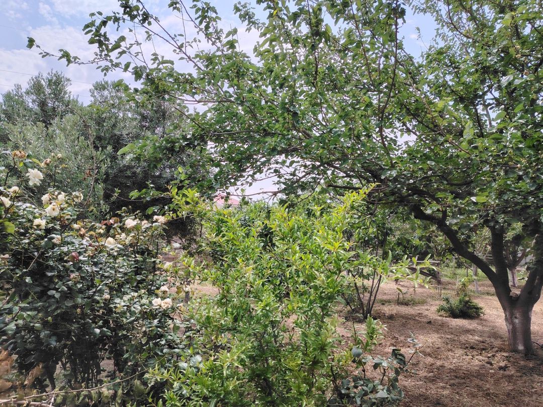Satılır 4 otaqlı həyət evi/bağ evi 180 m² — Ev, villa, Bakı (11)