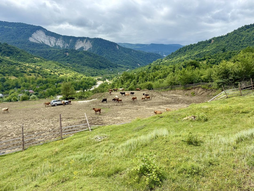 Satılır torpaq 20 sot — Torpaq, Quba (3)