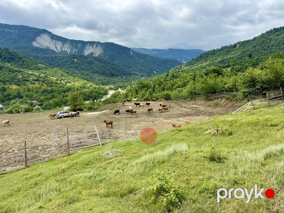Satılır torpaq 20 sot — Torpaq, Quba (3)