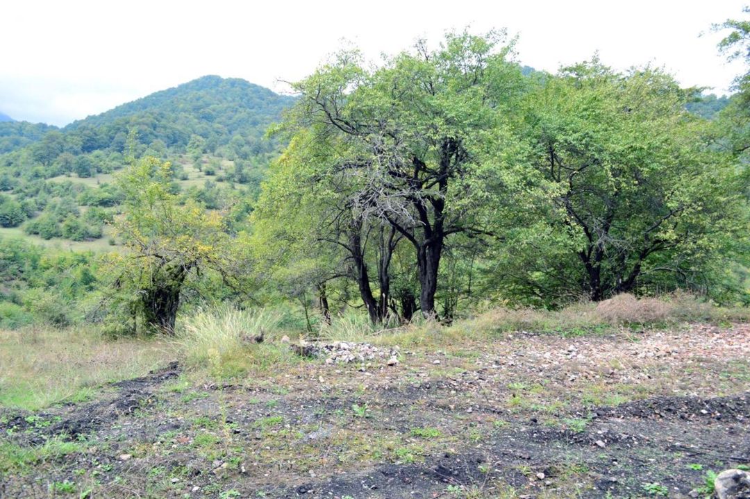 Satılır torpaq 80 sot — Torpaq, Quba (2)