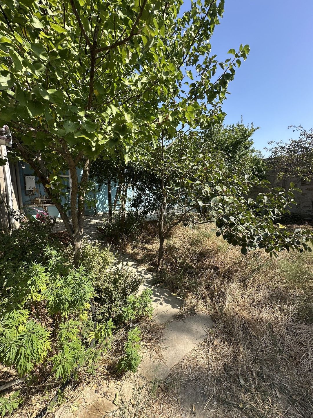 Satılır 6 otaqlı həyət evi/bağ evi 280 m² — Ev, villa, Bakı (8)