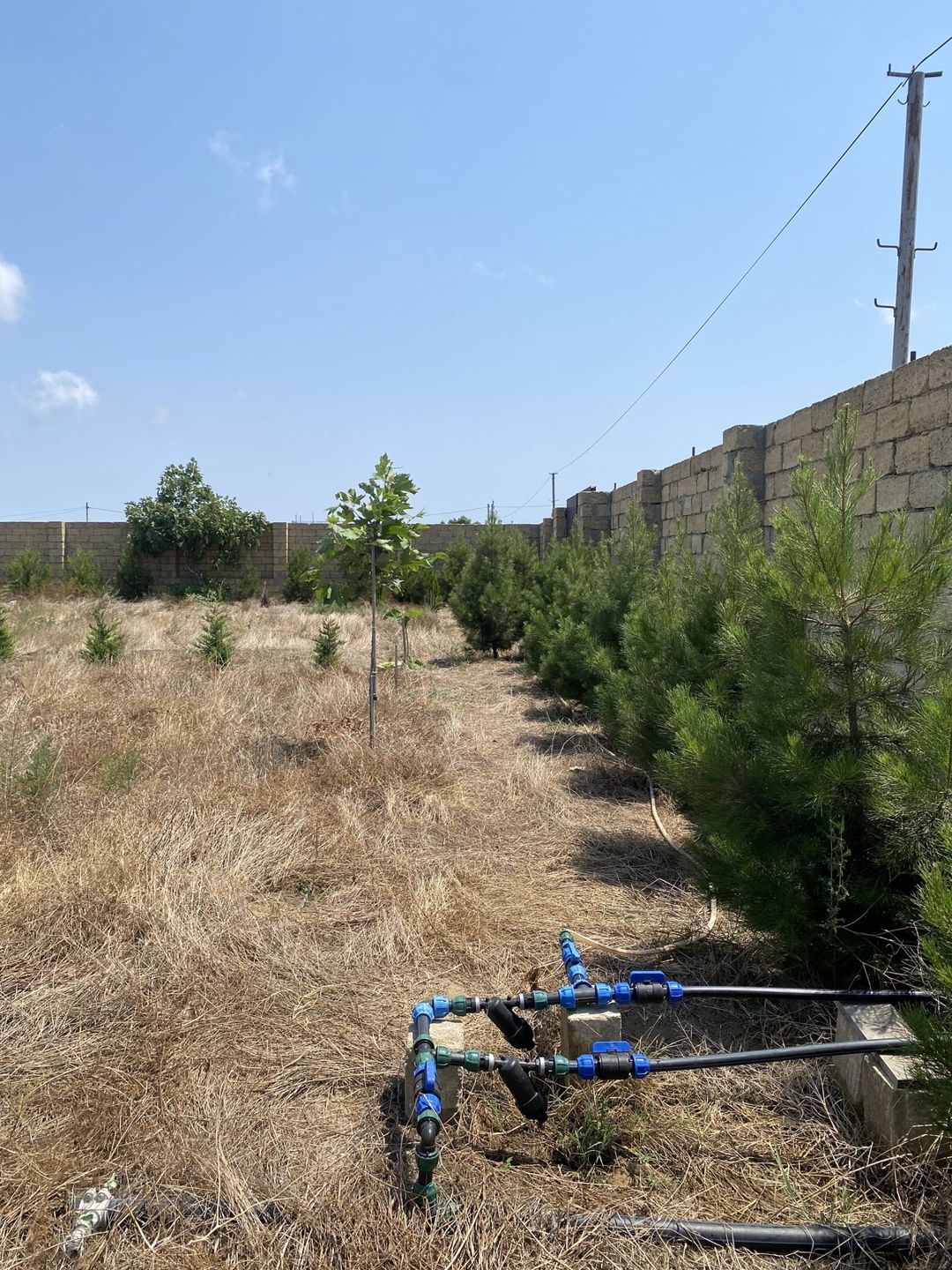 Satılır torpaq 12 sot — Torpaq, Bakı (8)