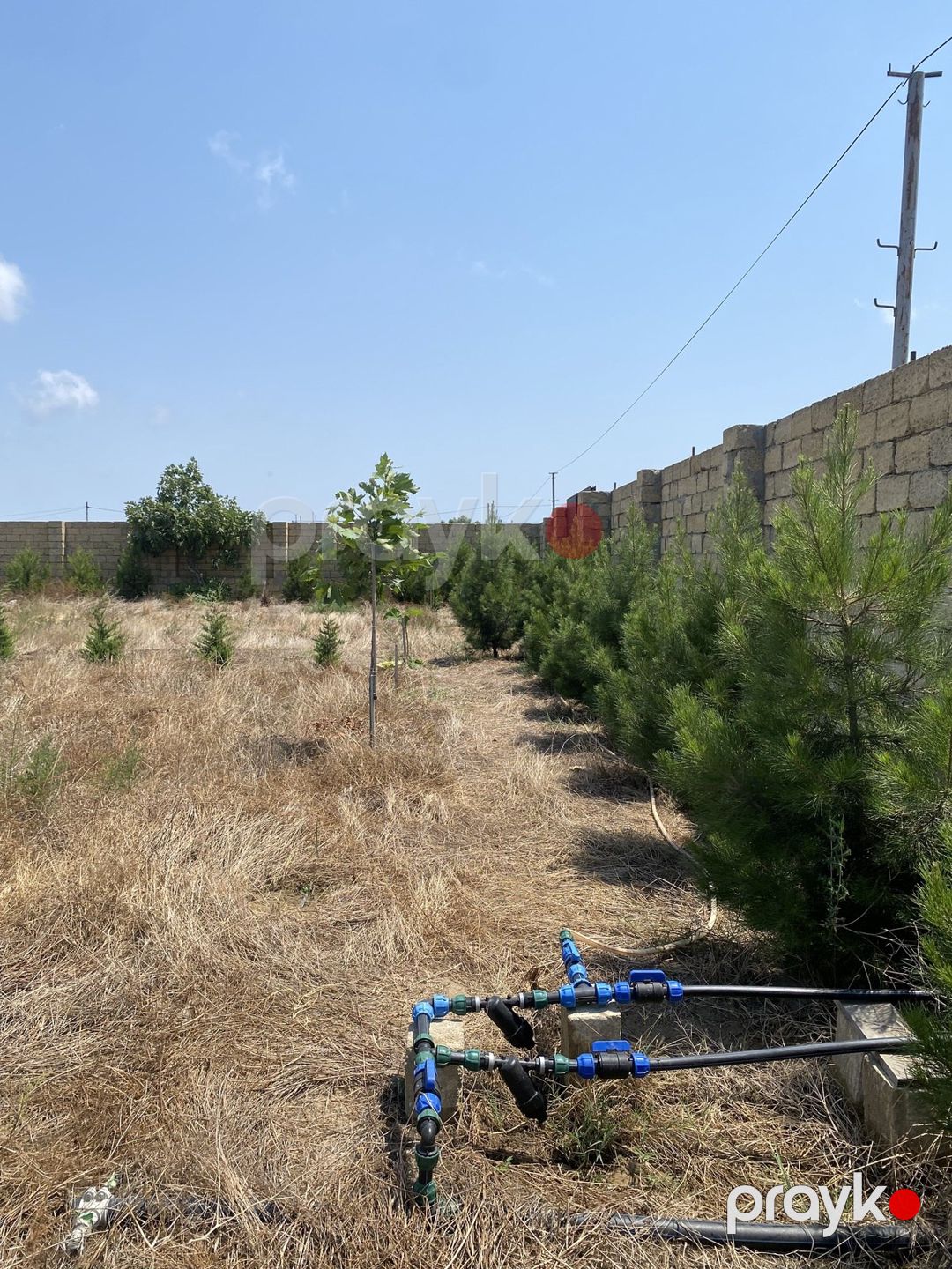 Satılır torpaq 12 sot — Torpaq, Bakı (10)