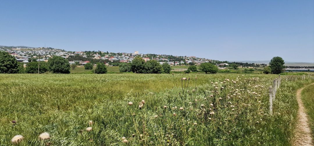 Satılır torpaq 226 sot — Torpaq, Şamaxı (10)
