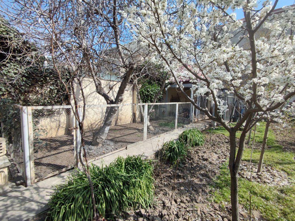 Satılır 6 otaqlı həyət evi/bağ evi 450 m² — Ev, villa, Bakı (12)