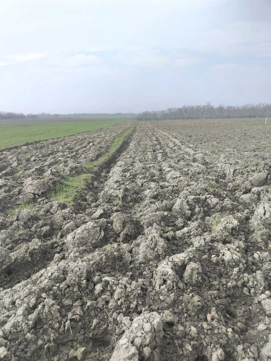 Satılır torpaq 56 sot — Torpaq, Xudat (4)