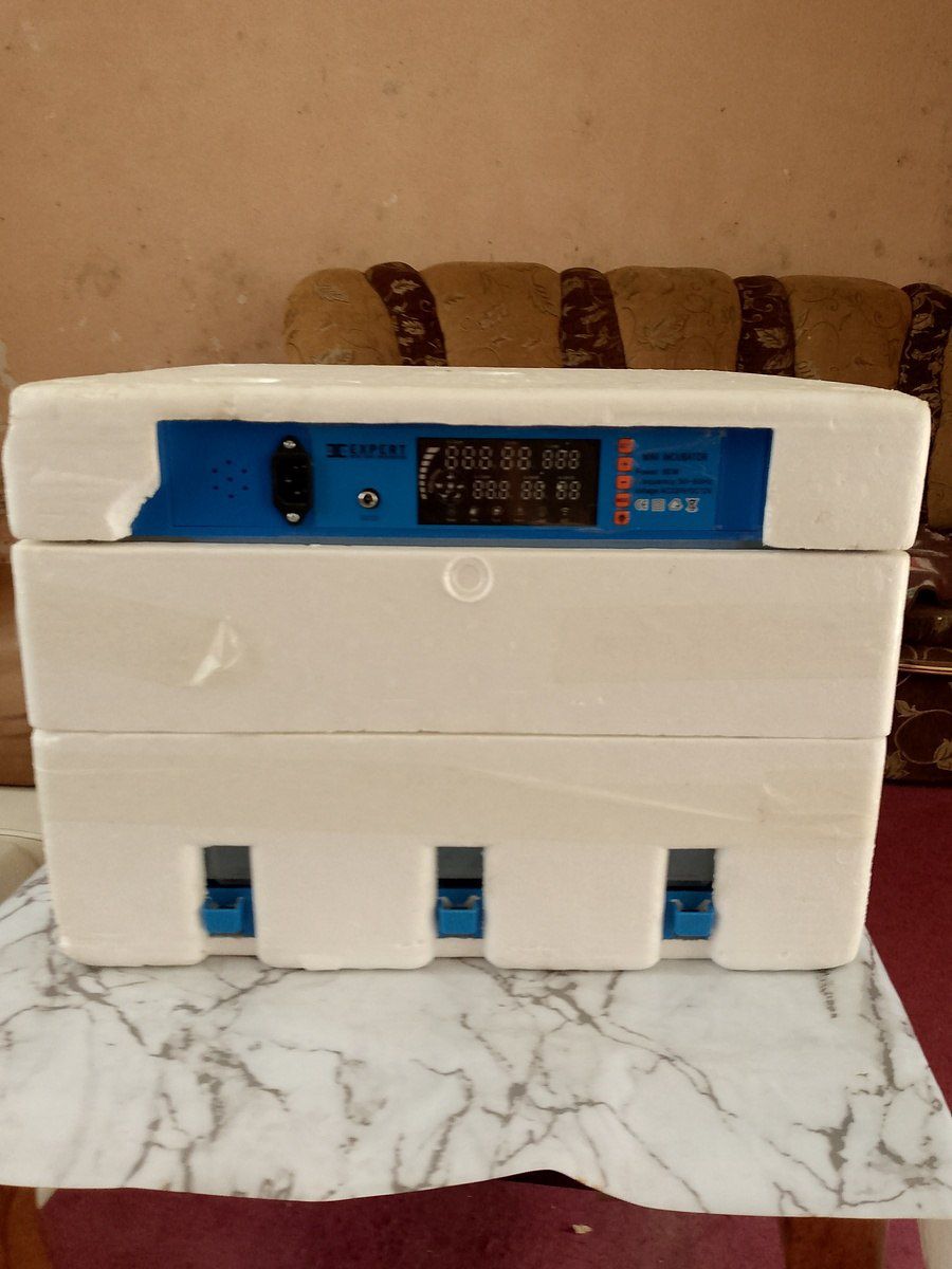 İnkubator — Biznes və avadanlıq, Şirvan (4)
