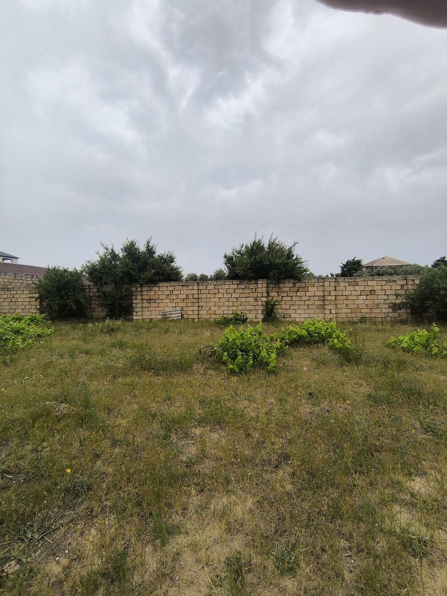 Satılır torpaq 500 sot — Torpaq, Bakı (3)