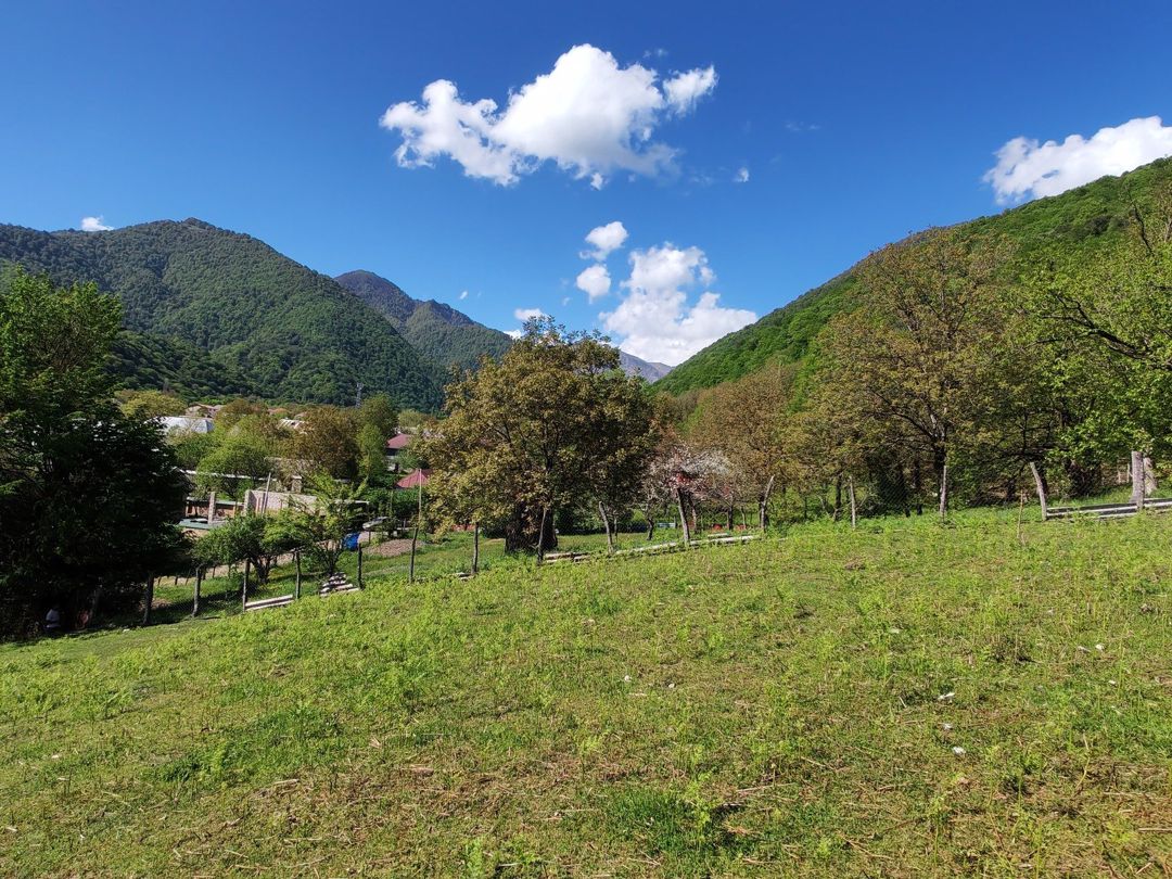 Satılır torpaq 41 sot — Torpaq, Qəbələ (8)