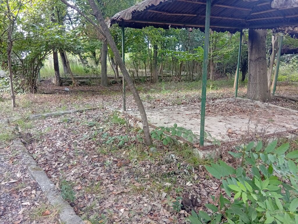 67 sot, Tikinti, Mülkiyyətçi, Kupça (Çıxarış) — Torpaq, Lənkəran (4)