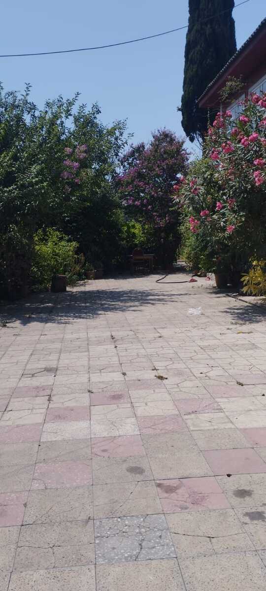 Satılır 4 otaqlı həyət evi/bağ evi 245 m² — Ev, villa, Masallı (6)