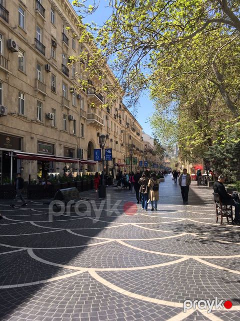 İcarəyə verilir obyekt 220 m²