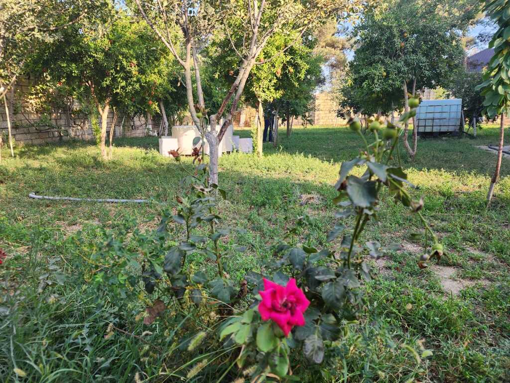 Satılır 3 otaqlı həyət evi/bağ evi 104 m² — Ev, villa, Bakı (11)