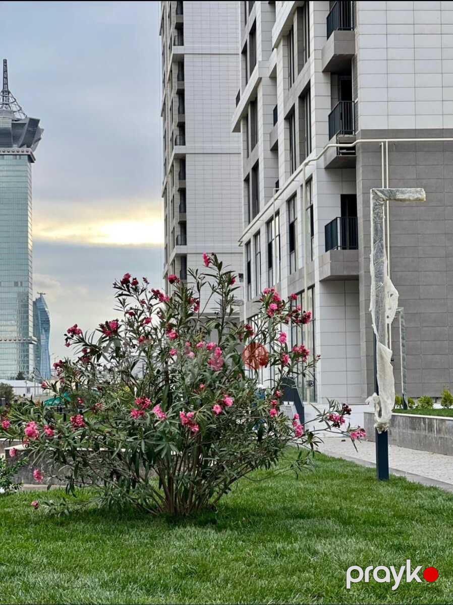 Satılır 1 otaqlı yeni tikili 79.3 m² — Mənzil, Bakı (4)
