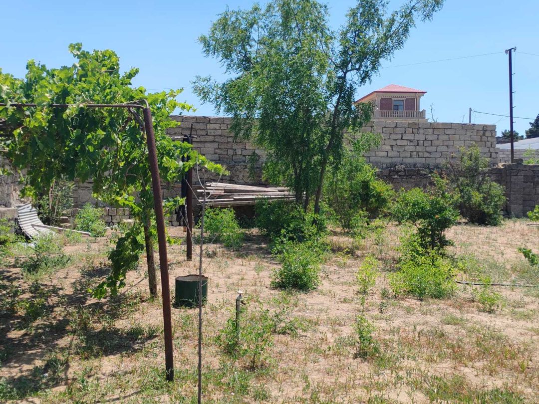 Satılır torpaq 3 sot — Torpaq, Bakı (12)