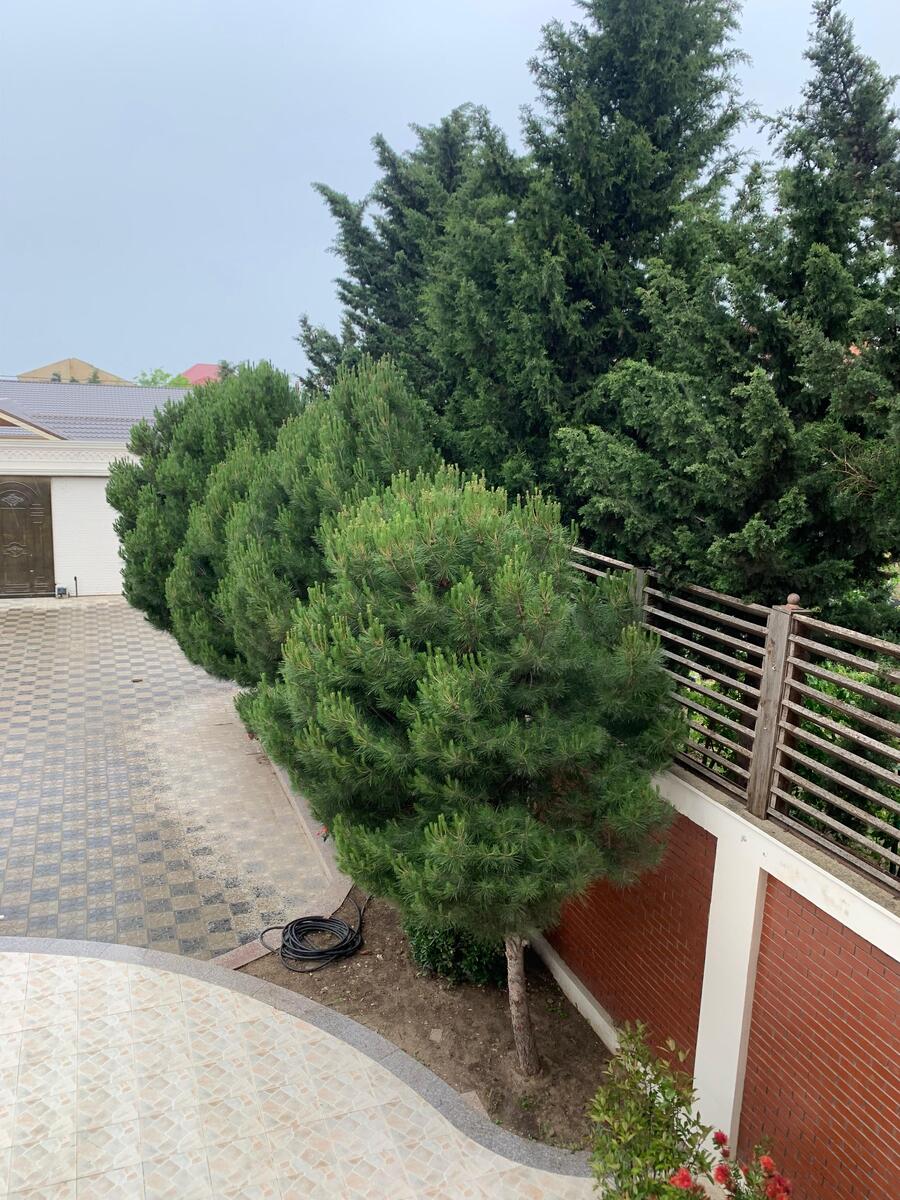 Satılır 8 otaqlı həyət evi/bağ evi 350 m² — Ev, villa, Bakı (9)