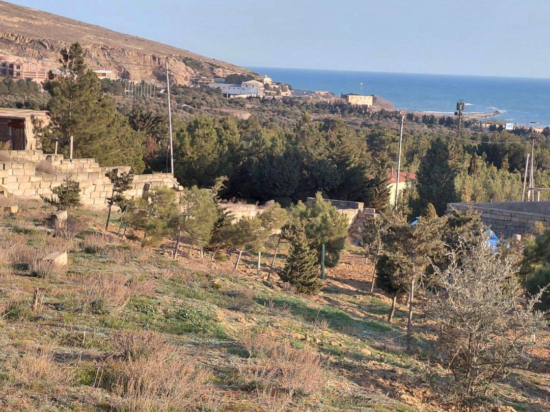 Satılır torpaq 12 sot — Torpaq, Bakı (3)