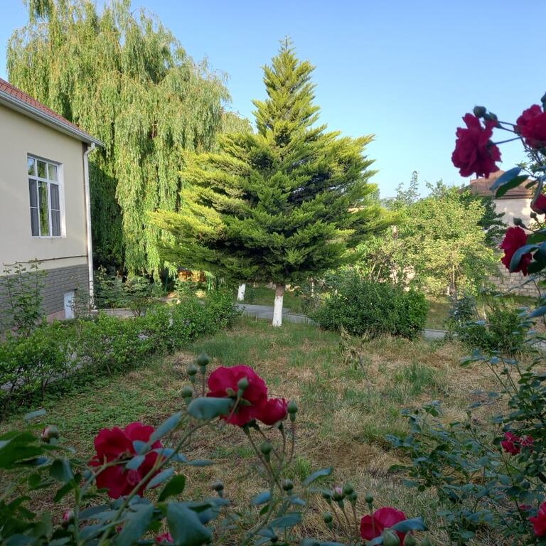 İcarəyə verilir 4 otaqlı həyət evi/bağ evi 90 m² — Ev, villa, Quba (6)