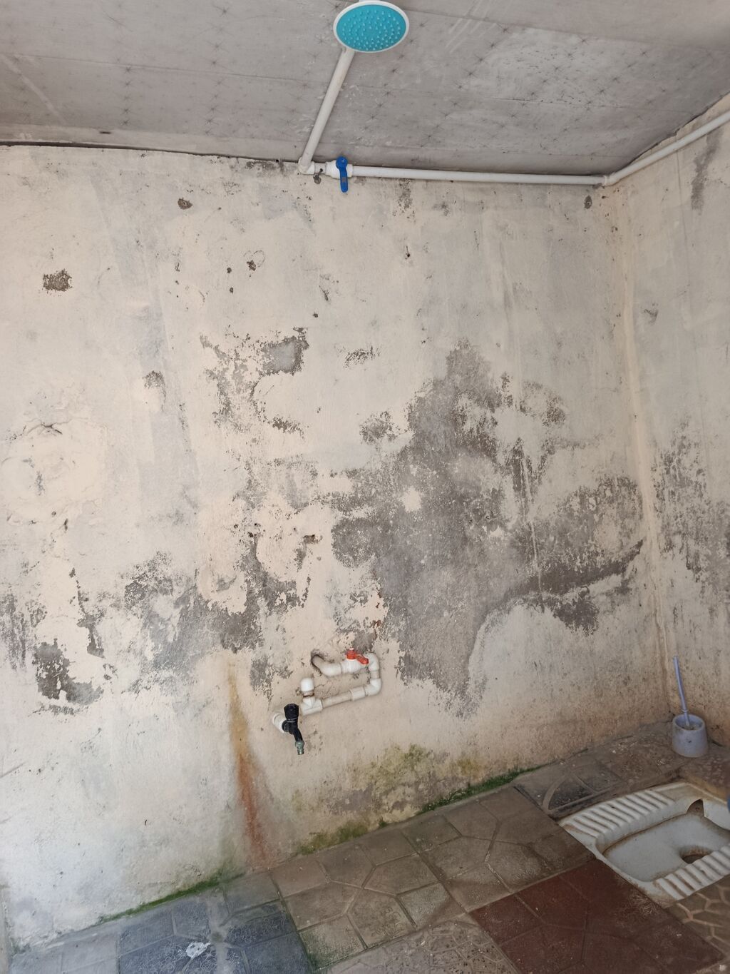 Salam bir otaq kuxna hamam tualet birdi qaz işıq sizlikdi su bizlikdi — Daşınmaz əmlak, Digah (2)