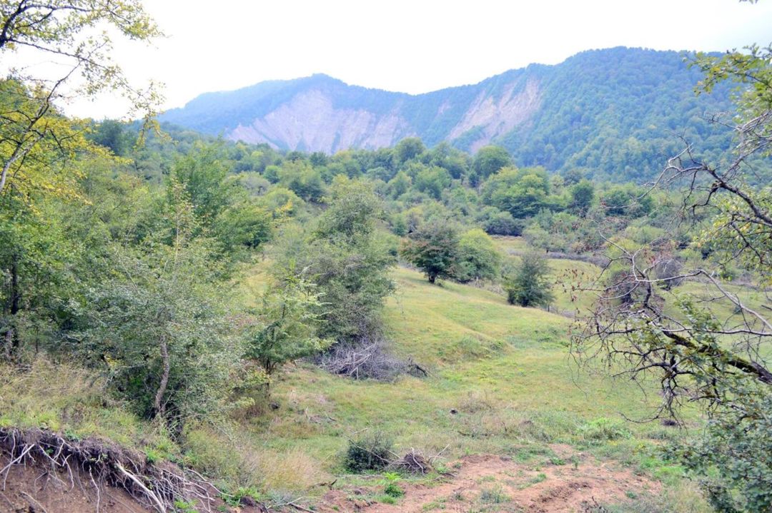 Satılır torpaq 80 sot — Torpaq, Quba (5)