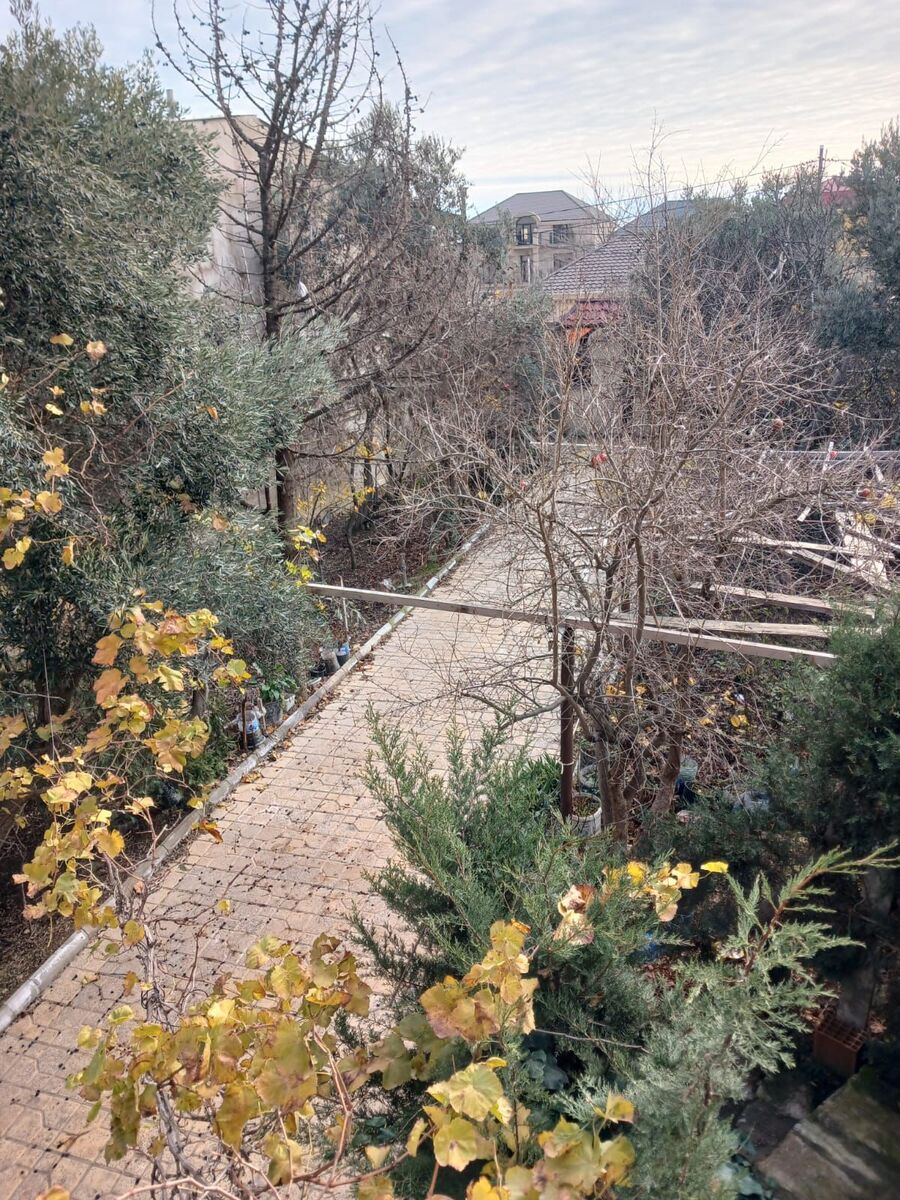 Satılır torpaq 6 sot — Torpaq, Bakı (3)