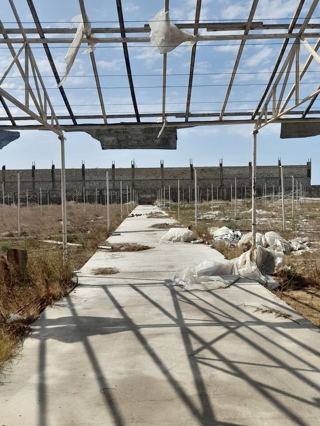 135 sot, Biznes üçün, Kupça (Çıxarış) — Torpaq, Digah (7)