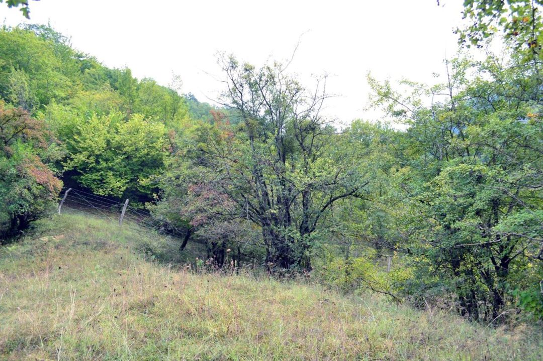 Satılır torpaq 80 sot — Torpaq, Quba (6)