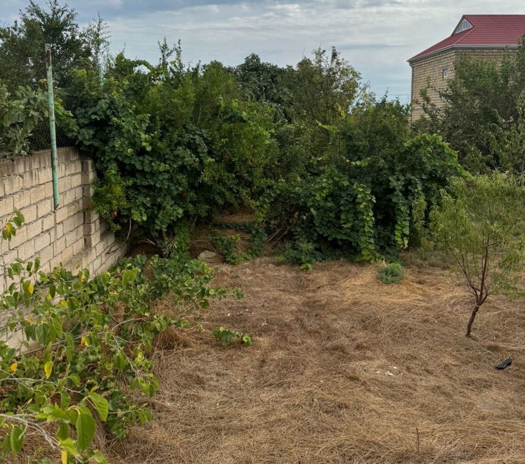 Satılır torpaq 6 sot — Torpaq, Bakı (12)
