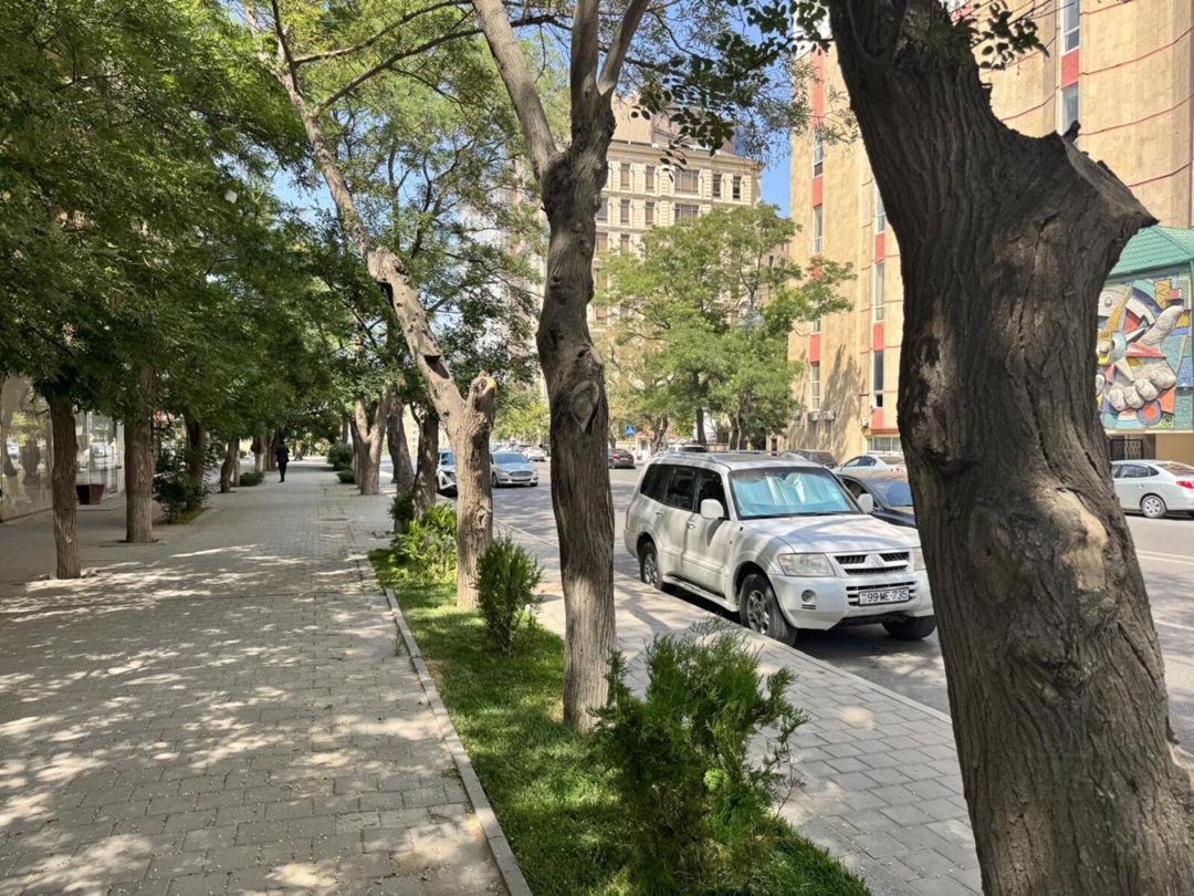 Satılır obyekt 250 m² — Əmlak, Bakı (8)