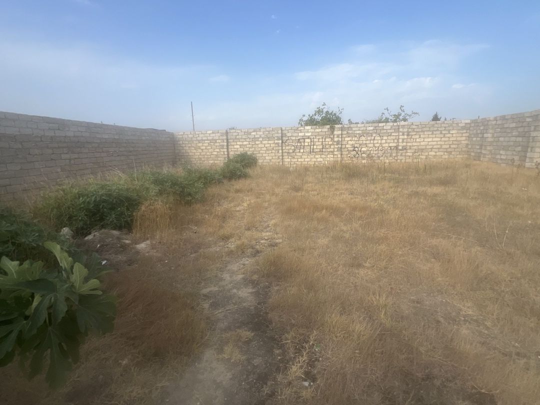 Satılır torpaq 5 sot — Torpaq, Bakı (2)