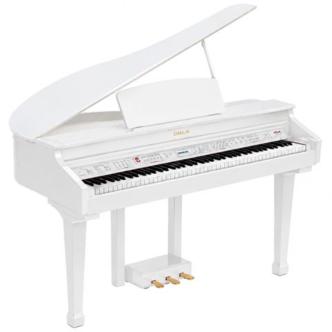 Rəqəmsal royal Orla Grand 120 — Bakı