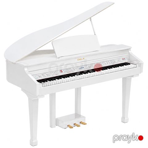 Rəqəmsal royal Orla Grand 120 — Bakı