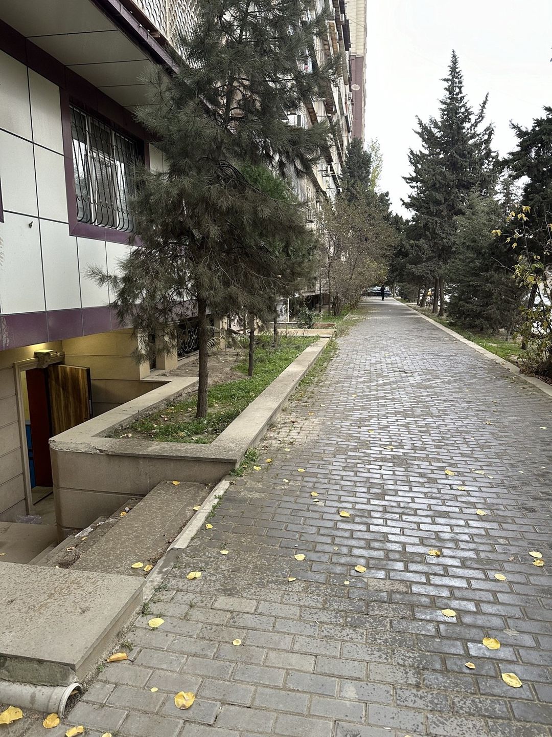 İcarəyə verilir obyekt 100 m² — Əmlak, Bakı (2)