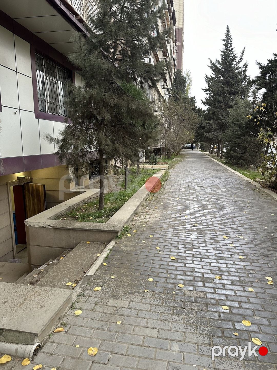 İcarəyə verilir obyekt 100 m² — Əmlak, Bakı (2)