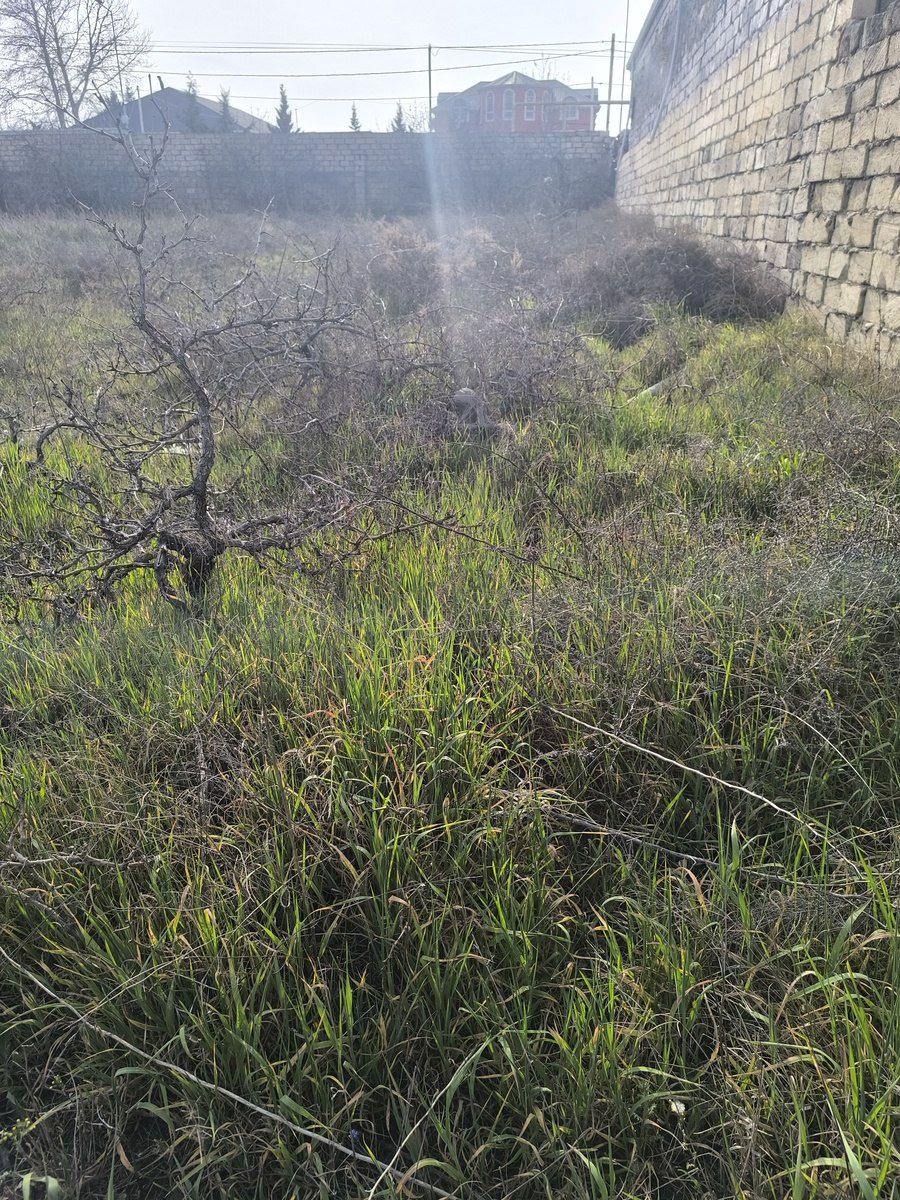 Satılır torpaq 41 sot — Torpaq, Bakı (7)