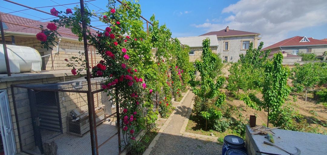 Satılır 14 otaqlı həyət evi/bağ evi 500 m² — Ev, villa, Bakı (6)