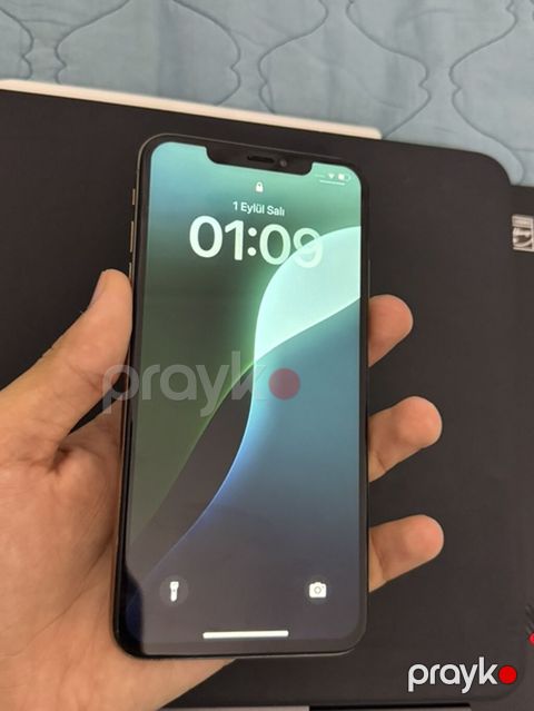 IPhone Xs Max, 256 GB, Qızılı, Face ID